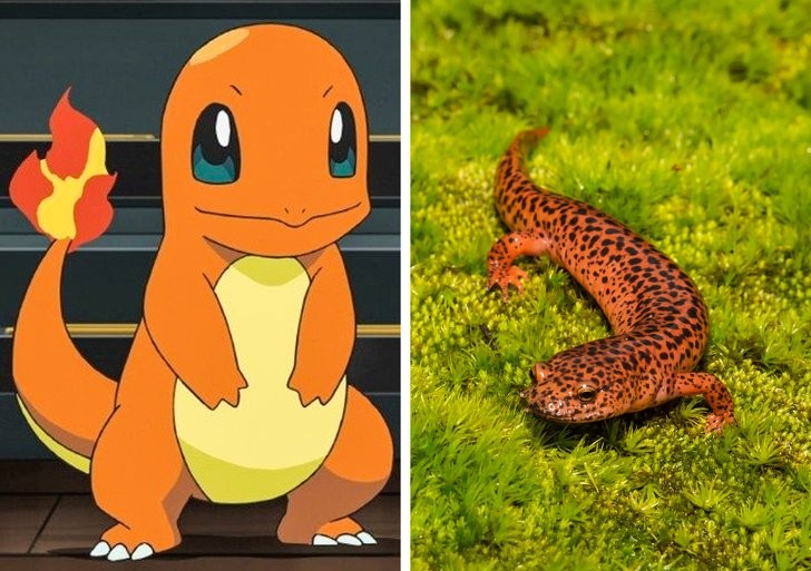 Los animales reales en los que se basan los Pokémons - CABROWORLD
